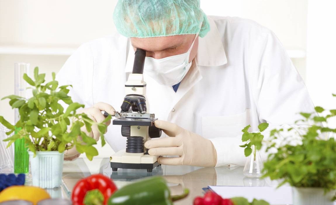 O mercado de trabalho para Tecnologia dos Alimentos
